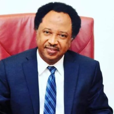 Electoral Act: What Nigerians think of Senator Shehu Sani’s reference to powerful political appointees